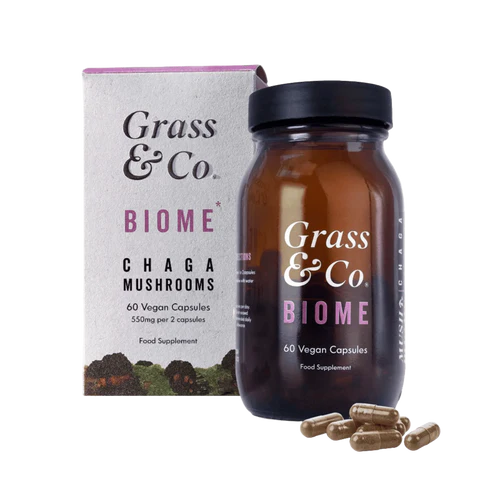 Chaga mushroom supplement