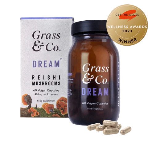 DREAM | Reishi Mushroom Capsules
