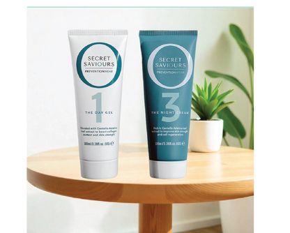 Secrect SavioursThe Band Kit