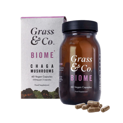 Chaga mushroom supplement