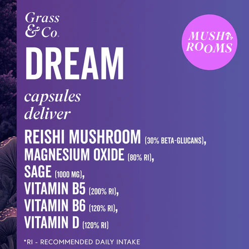 DREAM | Reishi Mushroom Capsules